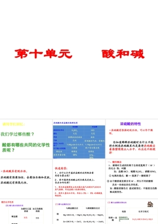 （天津地区）中考化学总复习 第十单元 酸和碱课件-人教版初中九年级全册化学课件