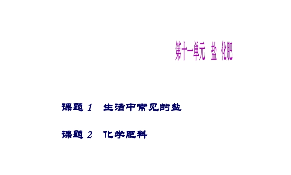 （天津地区）中考化学总复习 第十一单元 盐 化肥课件-人教版初中九年级全册化学课件