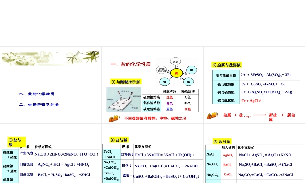 （天津地区）中考化学总复习 第十一单元 盐 化肥课件-人教版初中九年级全册化学课件