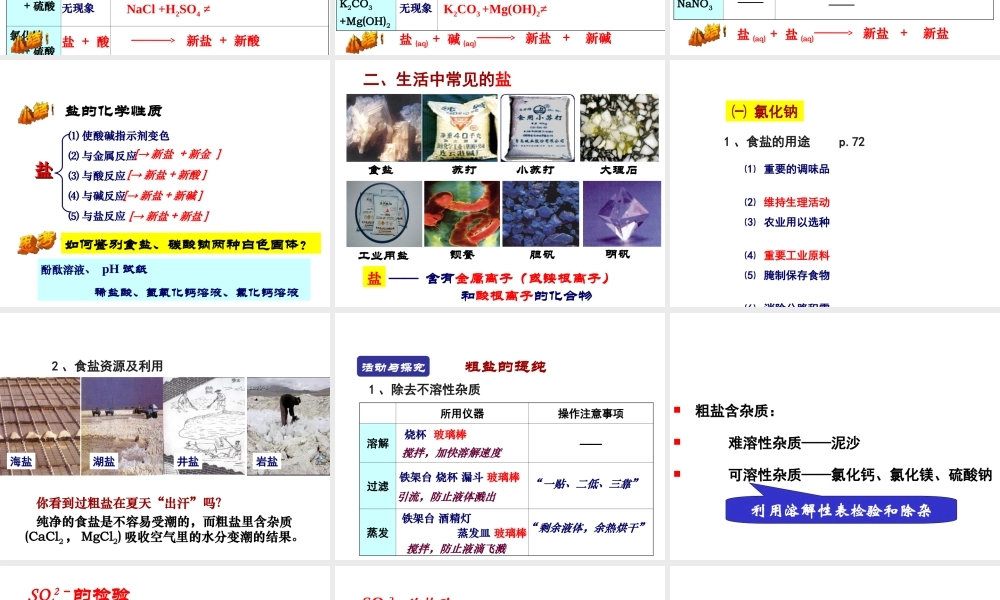 （天津地区）中考化学总复习 第十一单元 盐 化肥课件-人教版初中九年级全册化学课件