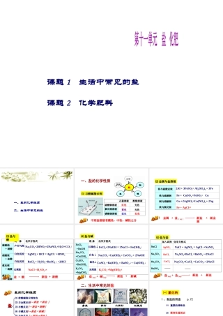 （天津地区）中考化学总复习 第十一单元 盐 化肥课件-人教版初中九年级全册化学课件