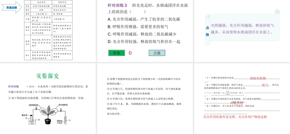 （云南专用）中考生物总复习 第四部分 生物圈中的绿色植物 专题八 绿色植物的光合作用和呼吸作用课件-人教版初中九年级全册生物课件