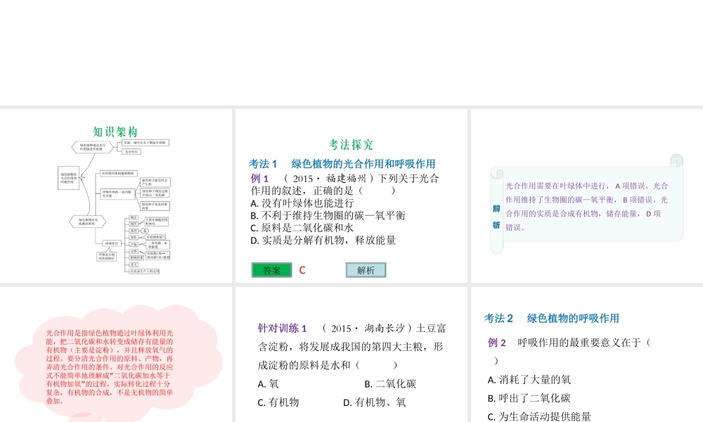 （云南专用）中考生物总复习 第四部分 生物圈中的绿色植物 专题八 绿色植物的光合作用和呼吸作用课件-人教级全册生物课件