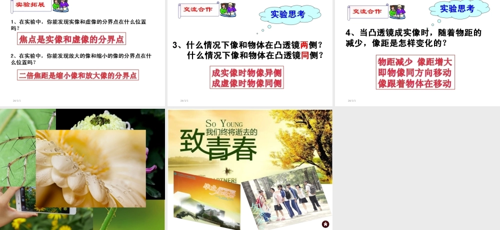 （天津地区）中考物理总复习 凸透镜成像规律课件-人教版初中九年级全册物理课件