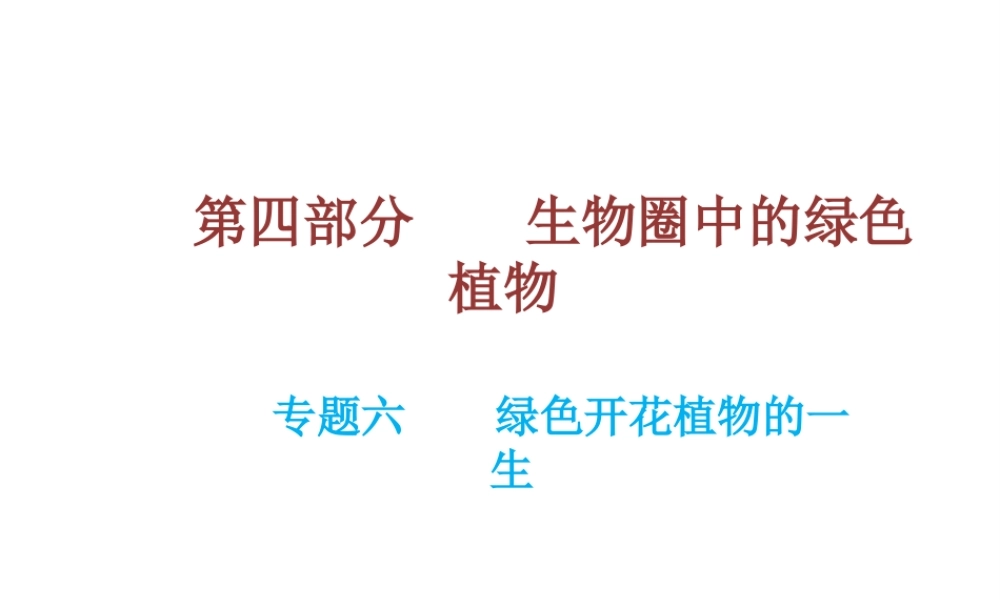 （云南专用）中考生物总复习 第四部分 生物圈中的绿色植物 专题六 绿色开花植物的一生课件-人教版初中九年级全册生物课件