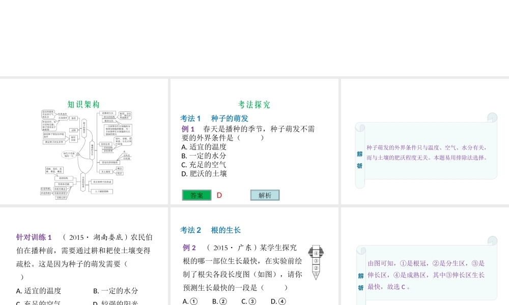 （云南专用）中考生物总复习 第四部分 生物圈中的绿色植物 专题六 绿色开花植物的一生课件-人教版初中九年级全册生物课件
