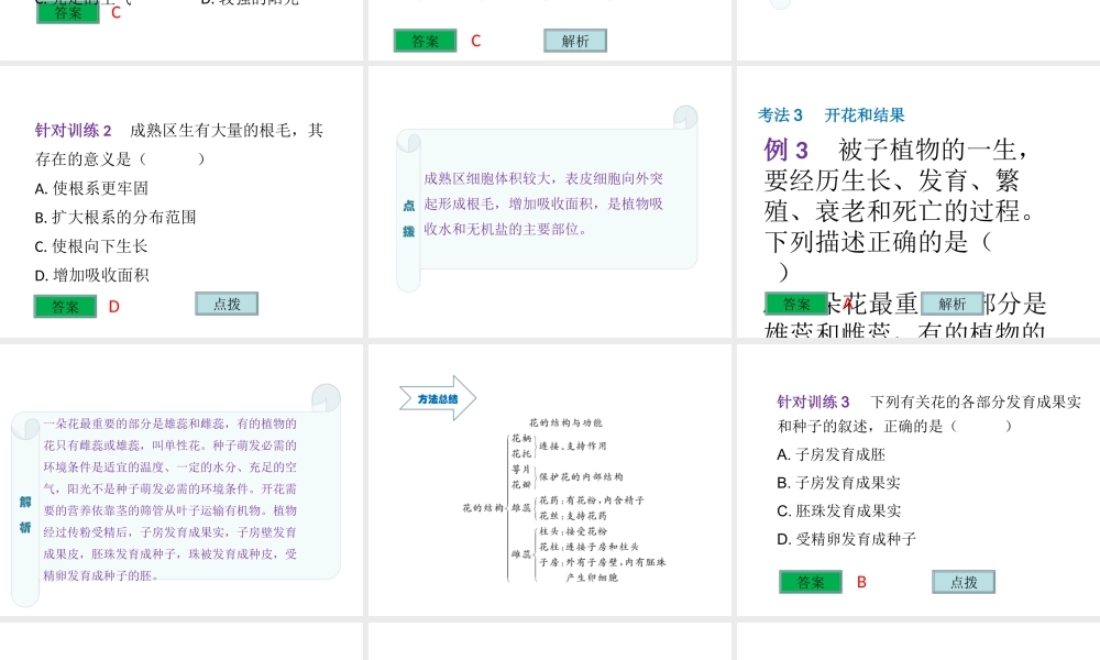 （云南专用）中考生物总复习 第四部分 生物圈中的绿色植物 专题六 绿色开花植物的一生课件-人教版初中九年级全册生物课件