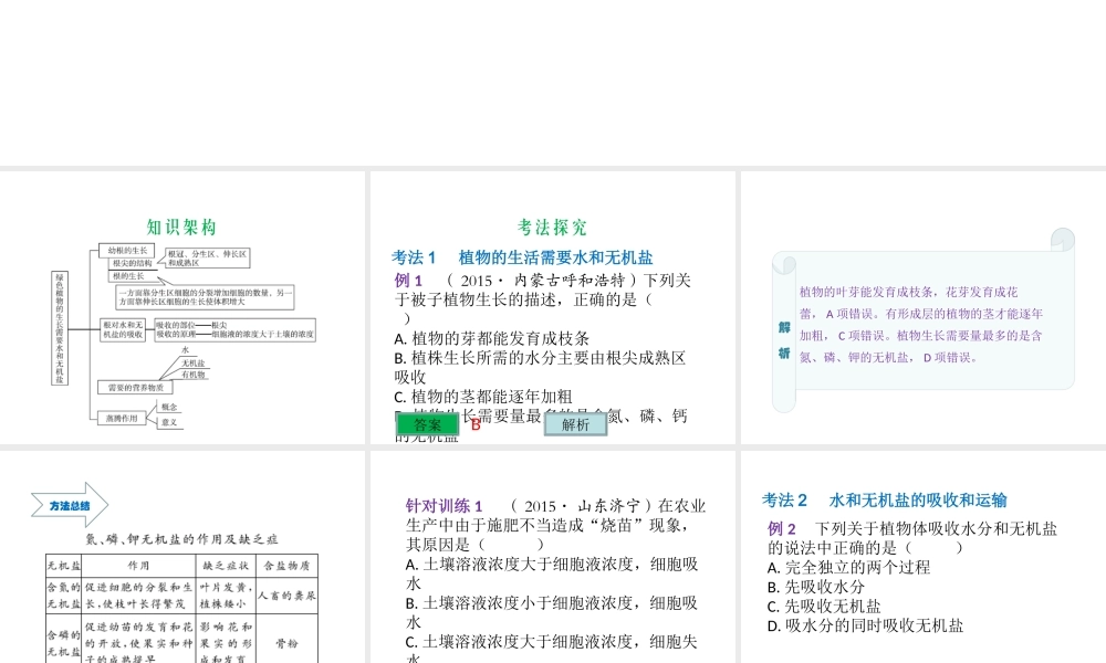 （云南专用）中考生物总复习 第四部分 生物圈中的绿色植物 专题七 绿色植物的生活需要水和植物盐课件-人教版初中九年级全册生物课件