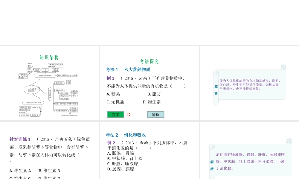 （云南专用）中考生物总复习 第五部分 生物圈中的人 专题十 人的食物来源于环境课件-人教级全册生物课件