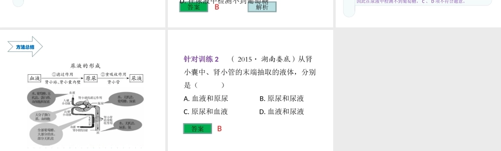 （云南专用）中考生物总复习 第五部分 生物圈中的人 专题十二 人体内废物的排出课件-人教版初中九年级全册生物课件