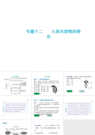 （云南专用）中考生物总复习 第五部分 生物圈中的人 专题十二 人体内废物的排出课件-人教级全册生物课件
