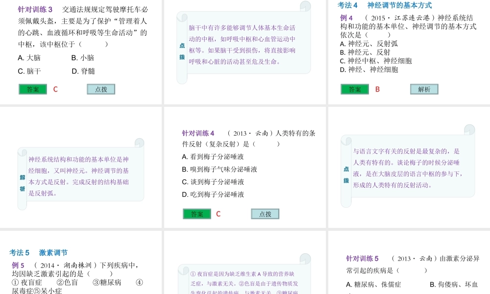 （云南专用）中考生物总复习 第五部分 生物圈中的人 专题十三 人体生命活动的调节课件-人教版初中九年级全册生物课件