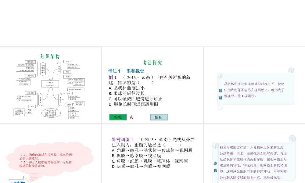（云南专用）中考生物总复习 第五部分 生物圈中的人 专题十三 人体生命活动的调节课件-人教级全册生物课件