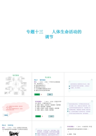 （云南专用）中考生物总复习 第五部分 生物圈中的人 专题十三 人体生命活动的调节课件-人教级全册生物课件