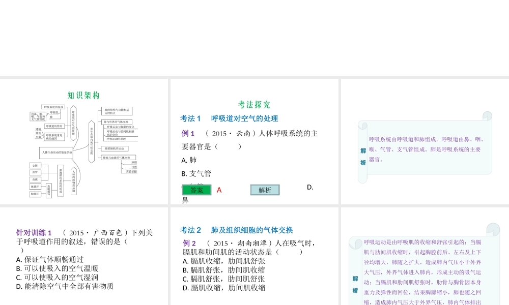 （云南专用）中考生物总复习 第五部分 生物圈中的人 专题十一 人体生命活动的能量供给课件-人教版初中九年级全册生物课件