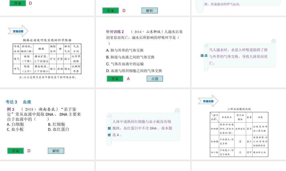 （云南专用）中考生物总复习 第五部分 生物圈中的人 专题十一 人体生命活动的能量供给课件-人教版初中九年级全册生物课件