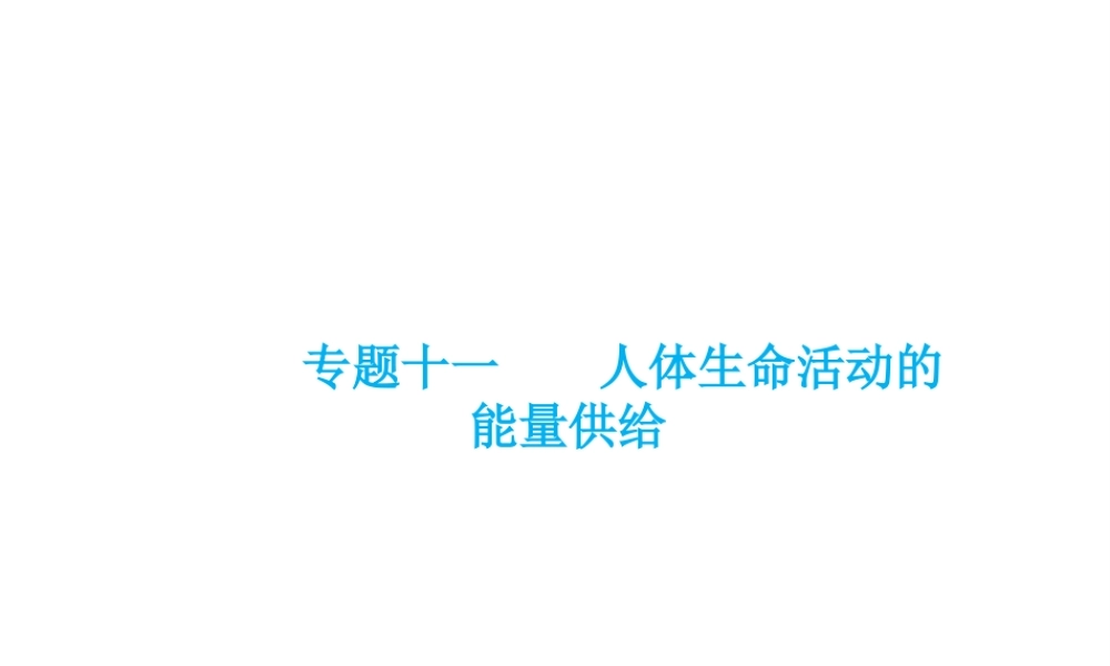 （云南专用）中考生物总复习 第五部分 生物圈中的人 专题十一 人体生命活动的能量供给课件-人教级全册生物课件