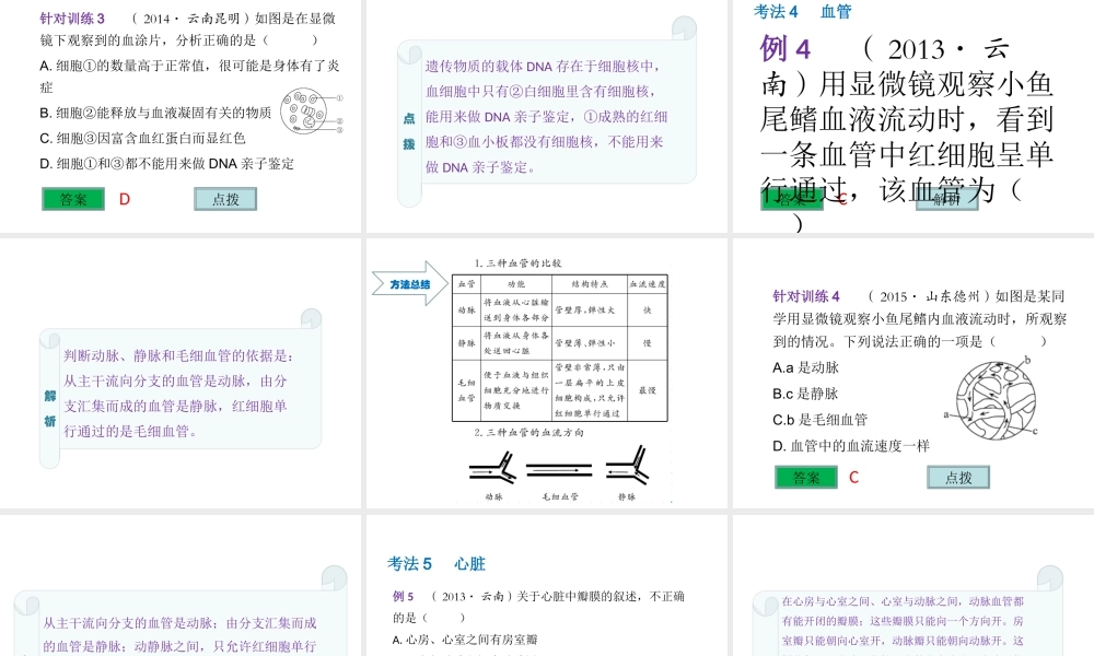 （云南专用）中考生物总复习 第五部分 生物圈中的人 专题十一 人体生命活动的能量供给课件-人教级全册生物课件