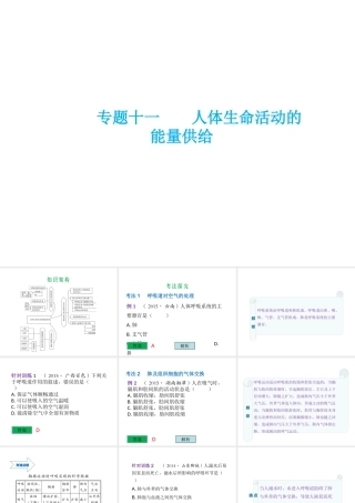 （云南专用）中考生物总复习 第五部分 生物圈中的人 专题十一 人体生命活动的能量供给课件-人教级全册生物课件