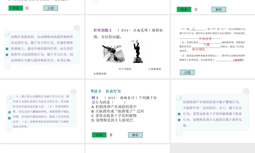 （云南专用）中考生物总复习 专题十五 动物的运动和行为课件-人教级全册生物课件