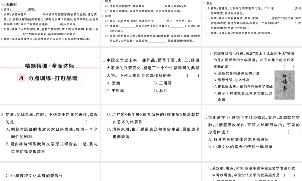 （安徽专版）七年级历史下册 第三单元 明清时期：统一多民族国家的巩固与发展 第21课 清朝前期的文学艺术习题课件 新人教版-新人教版初中七年级下册历史课件