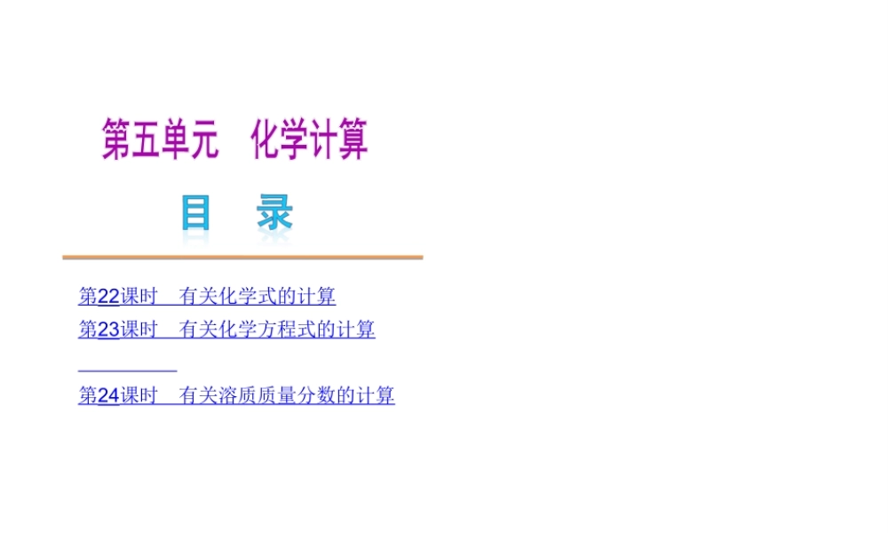 （北京专用）2013届中考化学复习方案 第五单元 化学计算课件