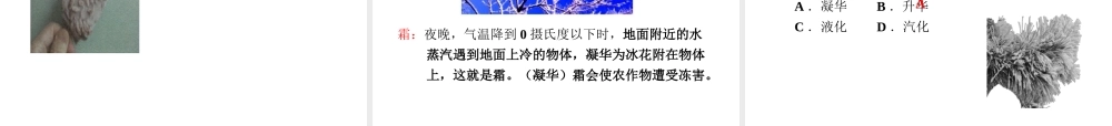 （安徽专版）2018年八年级物理上册 4.4升华和凝华课件 （新版）粤教沪版