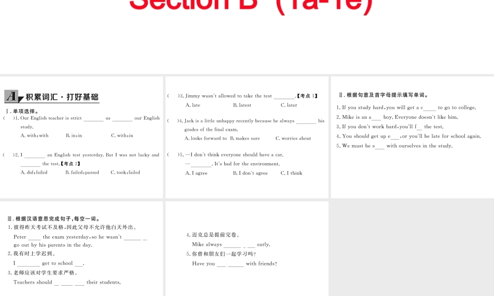 （娄底专用）秋九年级英语全册 Unit 7 Teenagers should be allowed to choose their own clothes Section B（1a-1e）作业课件 （新版）人教新目标版-（新版）人教新目标版初中九年级全册英语课件