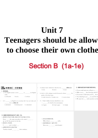 （娄底专用）秋九年级英语全册 Unit 7 Teenagers should be allowed to choose their own clothes Section B（1a-1e）作业课件 （新版）人教新目标版-（新版）人教新目标版初中九年级全册英语课件