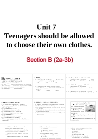 （娄底专用）秋九年级英语全册 Unit 7 Teenagers should be allowed to choose their own clothes Section B（2a-3b）作业课件 （新版）人教新目标版-（新版）人教新目标版初中九年级全册英语课件