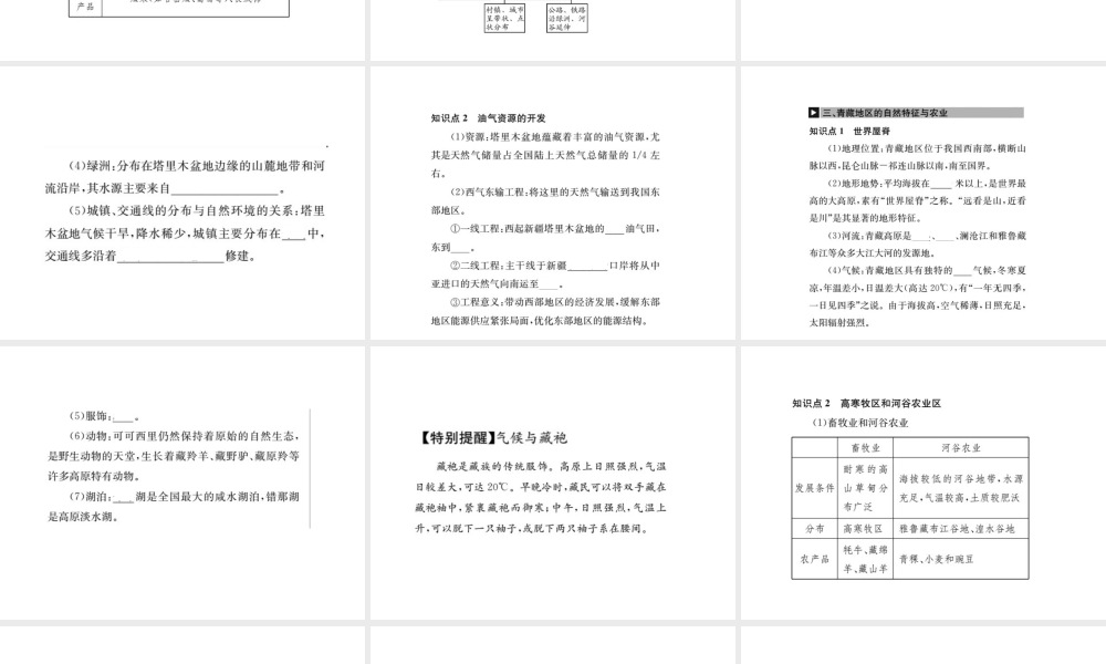 （全国通用版）中考地理 八年级部分 第8章 西北地区 青藏地区 中国在世界复习课件-人教版初中九年级全册地理课件
