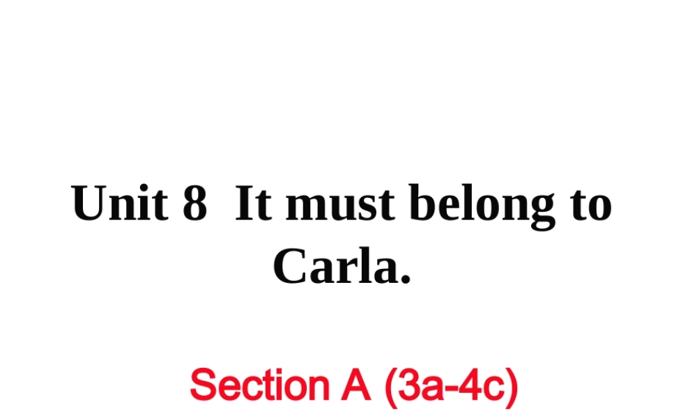 （娄底专用）秋九年级英语全册 Unit 8 It must belong to Carla Section A（3a-4c）作业课件 （新版）人教新目标版-（新版）人教新目标版初中九年级全册英语课件