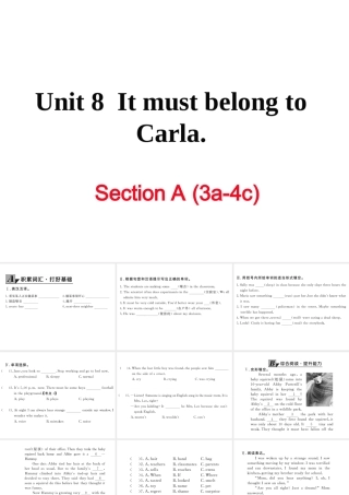 （娄底专用）秋九年级英语全册 Unit 8 It must belong to Carla Section A（3a-4c）作业课件 （新版）人教新目标版-（新版）人教新目标版初中九年级全册英语课件