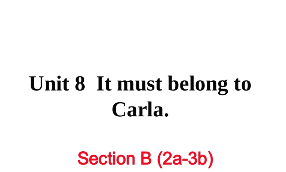 （娄底专用）秋九年级英语全册 Unit 8 It must belong to Carla Section B（2a-3b）作业课件 （新版）人教新目标版-（新版）人教新目标版初中九年级全册英语课件