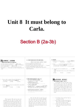 （娄底专用）秋九年级英语全册 Unit 8 It must belong to Carla Section B（2a-3b）作业课件 （新版）人教新目标版-（新版）人教新目标版初中九年级全册英语课件