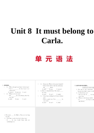 （娄底专用）秋九年级英语全册 Unit 8 It must belong to Carla语法作业课件 （新版）人教新目标版-（新版）人教新目标版初中九年级全册英语课件