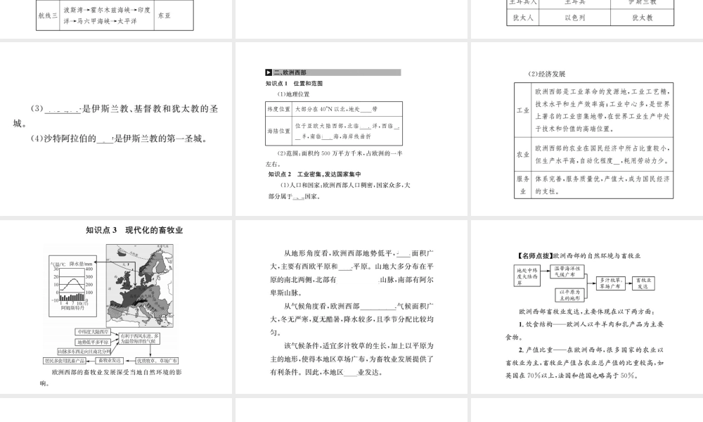 （全国通用版）中考地理 七年级部分 第7章 东半球其他地区和国家复习课件1-人教版初中九年级全册地理课件