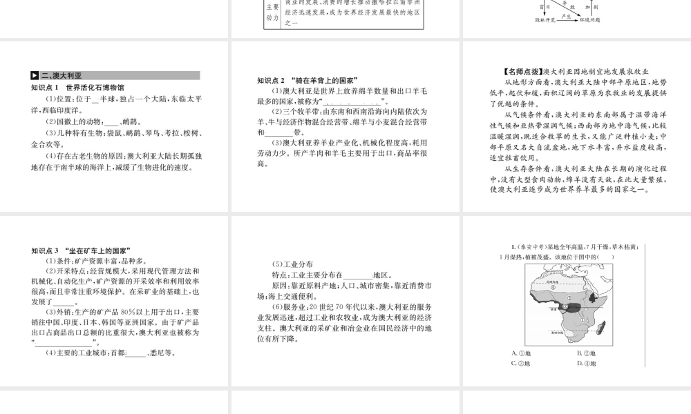 （全国通用版）中考地理 七年级部分 第7章 东半球其他地区和国家复习课件2-人教版初中九年级全册地理课件