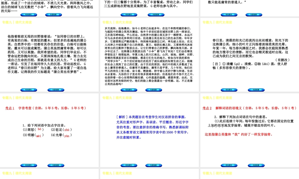 （吉林专版）中考语文 第二篇 阅读 专题九 现代文阅读复习课件-人教版初中九年级全册语文课件