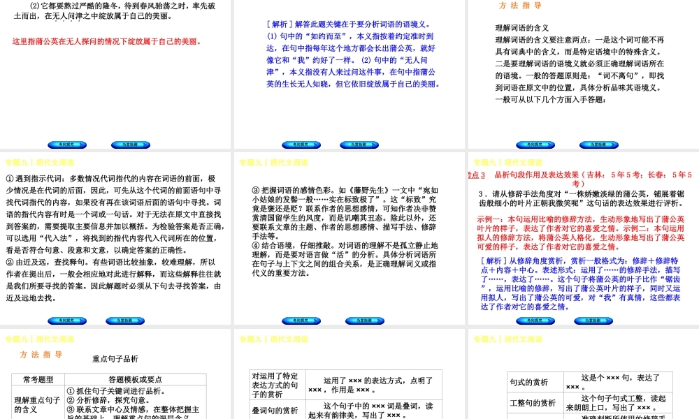 （吉林专版）中考语文 第二篇 阅读 专题九 现代文阅读复习课件-人教版初中九年级全册语文课件