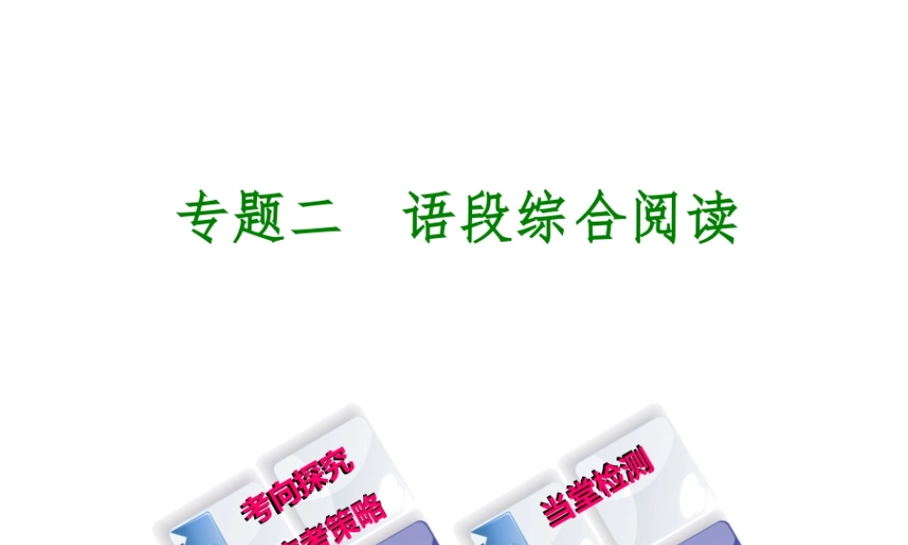 （吉林专版）中考语文 第一部分 积累与运用 专题二 语段综合阅读复习课件-人教版初中九年级全册语文课件