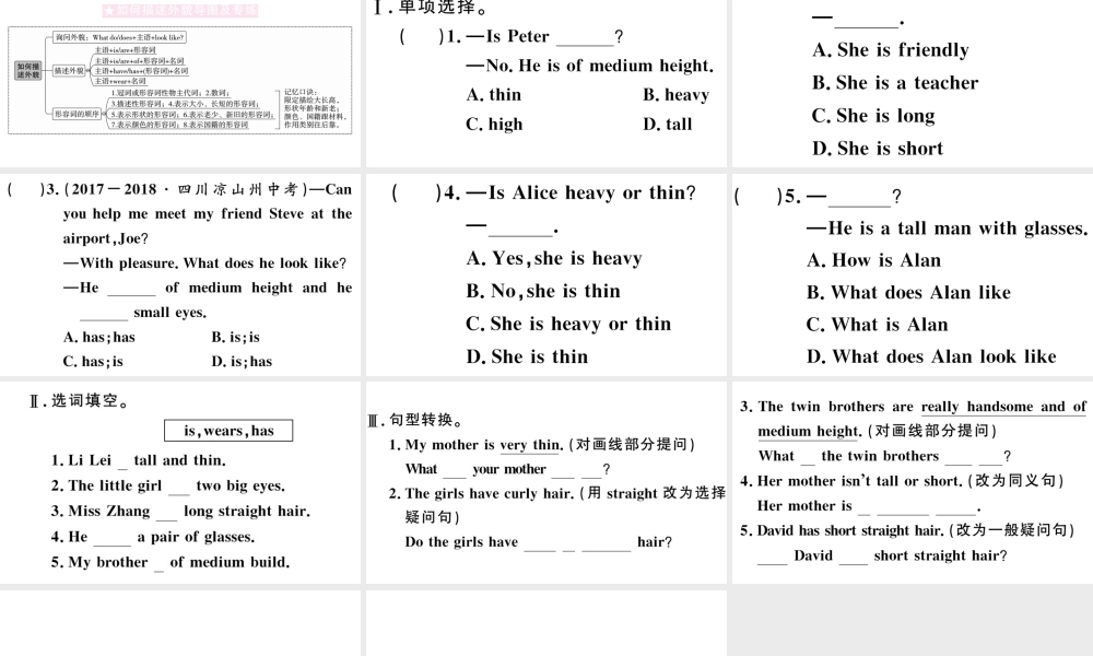 （安徽专版）七年级英语下册 Unit 9 What does he look like单元语法习题课件（新版）人教新目标版-（新版）人教新目标版初中七年级下册英语课件