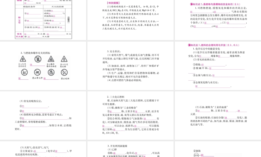 （宁夏专版）中考化学总复习 第一部分 教材系统复习 第7单元 燃料及其利用课件-人教版初中九年级全册化学课件