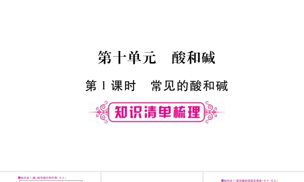 （宁夏专版）中考化学总复习 第一部分 教材系统复习 第10单元 酸和碱课件-人教版初中九年级全册化学课件