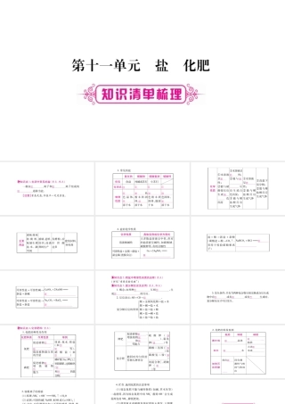 （宁夏专版）中考化学总复习 第一部分 教材系统复习 第11单元 盐 化肥课件-人教版初中九年级全册化学课件