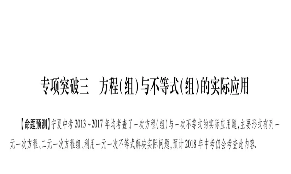 （宁夏专版）中考数学总复习 第二轮 中档题突破 专项突破3 方程（组）与不等式（组）的实际应用课件-人教版初中九年级全册数学课件