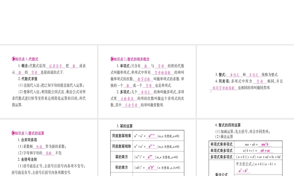 （宁夏专版）中考数学总复习 第一轮 考点系统复习 第1章 数与式 第2节 整式与因式分解课件-人教版初中九年级全册数学课件