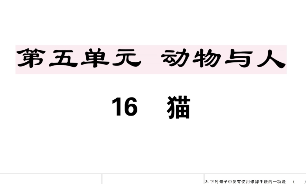 （安徽专版）七年级语文上册 第五单元 16 猫习题讲评课件 新人教版-新人教版初中七年级上册语文课件