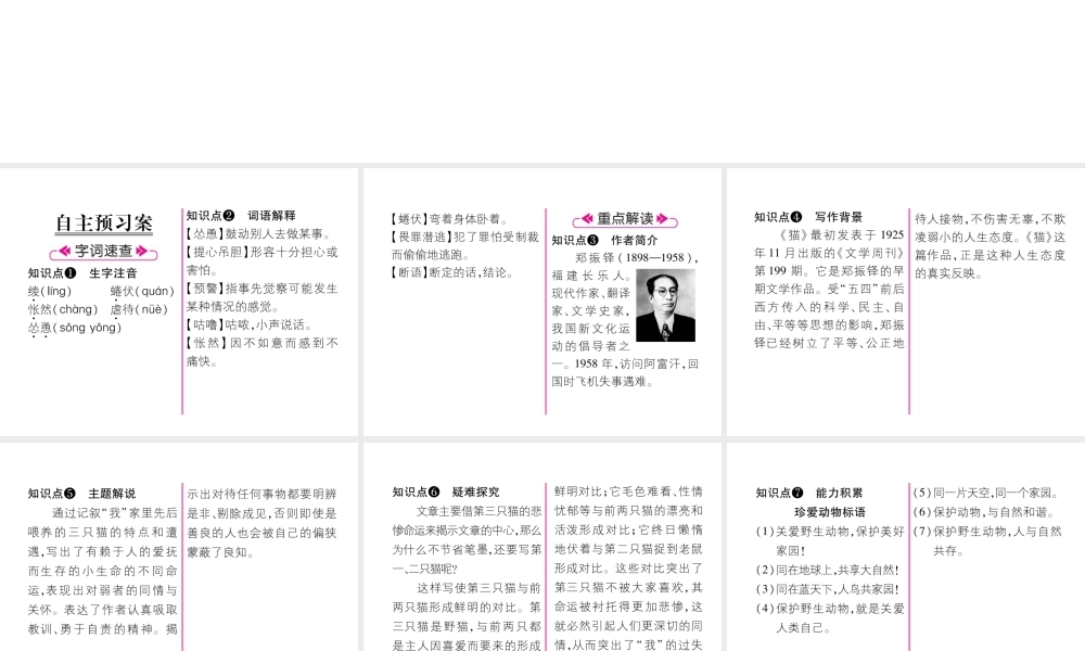 （安徽专版）七年级语文上册 第五单元 16 猫作业课件 新人教版-新人教版初中七年级上册语文课件