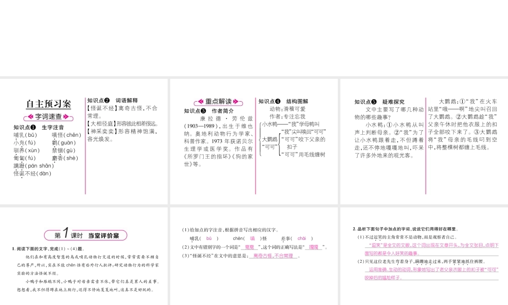 （安徽专版）七年级语文上册 第五单元 17 动物笑谈作业课件 新人教版-新人教版初中七年级上册语文课件